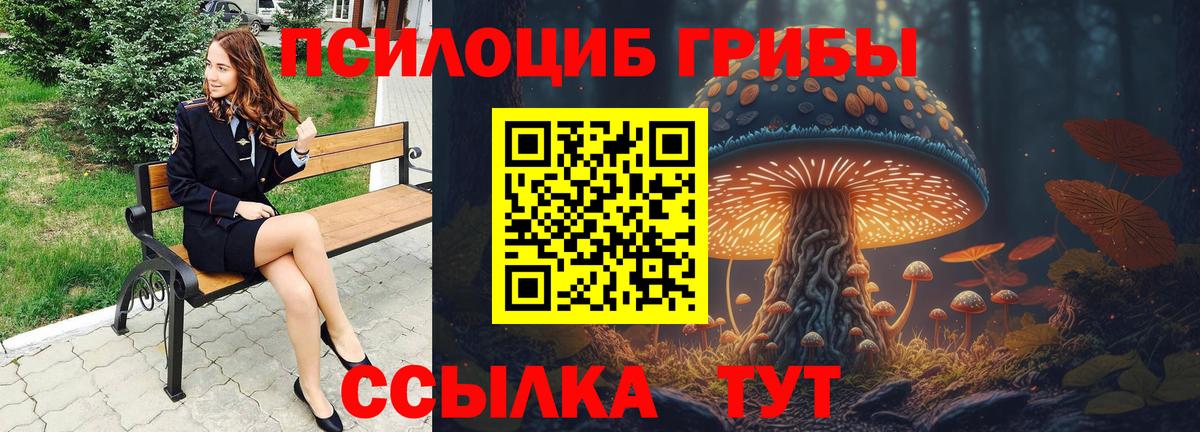 Псилоцибиновые грибы ЛСД Зеленодольск